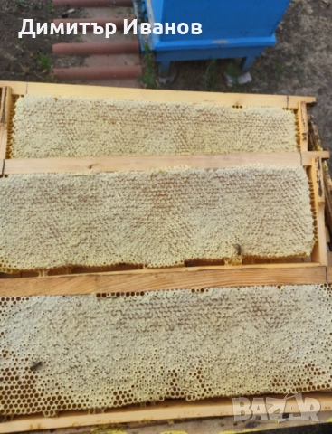 Пчелен мед Букет , снимка 3 - За пчели - 52142828