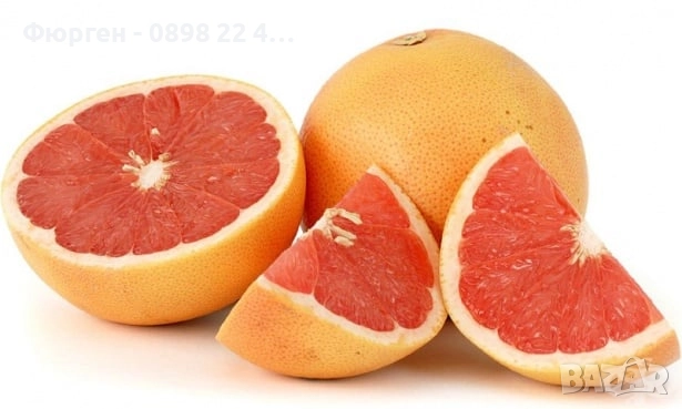 Грейпфрут – цитрусово дърво с ярък характер и изключителен аромат Цена 48лв (24.54 €)