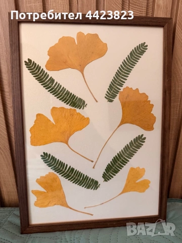 Декорация от хербаризирани растения, снимка 2 - Декорация за дома - 53961499