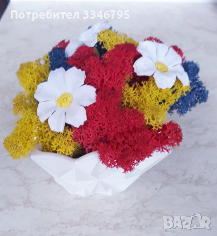 Кашпа със скандинавски мъх. 