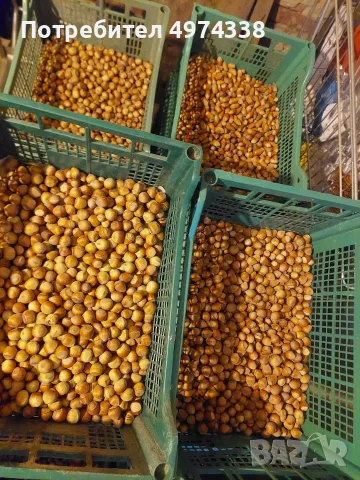 Продавам лешници, снимка 5 - Домашни продукти - 56437569