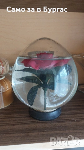 цвете във вода в топкола 