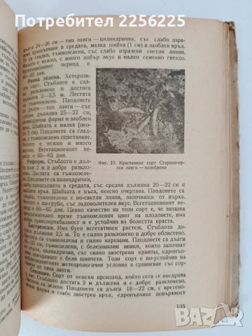 Ранно и късно полско зеленчукопроизводство , снимка 4 - Специализирана литература - 52790284