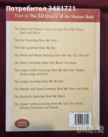 The Head and Neck. Learning How We Use Our Muscles, снимка 11 - Здраве, медицина и спорт - 55964348