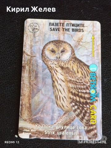 Три фонокарти БЕТКОМ тема ЖИВОТНИ БУХАЛ,СОВА,СКАЛОАЗКА за КОЛЕКЦИЯ 48623, снимка 7 - Колекции - 51666505