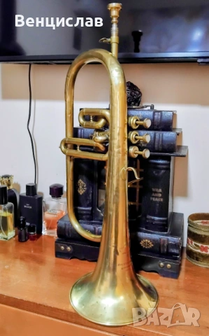 Флигорна Couesnon