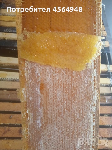 Пчелен мед от Странджа 7,00 лева за 1 килограм в буркан , снимка 8 - За пчели - 51369721