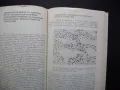 Увреждане на ДНК и рак Димитър Хаджиолов медицинска литература, снимка 2