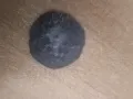 Монета , снимка 1