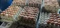 🐔Налични Носачки За Яйца 🥚, снимка 2