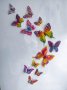3Д пеперуди, стикери за декорация, снимка 9
