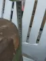Каче,ведро за вода  мляко, снимка 3