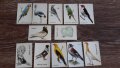 Стари календари на птици 15лв за всички , снимка 1