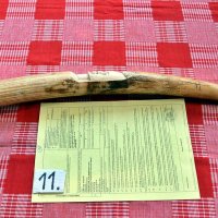 11.) 1,75 кг, 1 бр. Слонова кост (слонова кост) с официален сертификат за автентичност (CERTIFICAAT , снимка 2 - Статуетки - 42765696