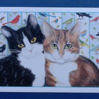 3 двойни картички,издадени от ASPCA(асоциация за защита на животните).Издадени в САЩ, снимка 2 - Колекции - 29722345