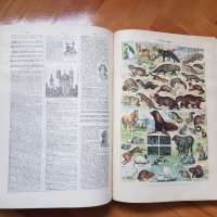 Стара голяма френска енциклопедия, снимка 4 - Антикварни и старинни предмети - 30897662