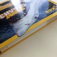 Океанът от близо - панорамна книга с 5 снимки в естествен размер - 2010г., снимка 13 - Детски книжки - 39760775