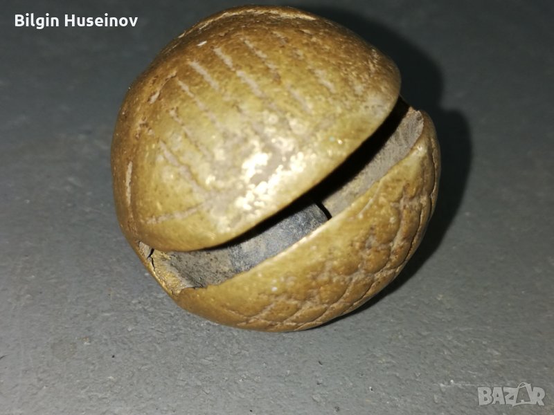 Свънче орехче, снимка 1