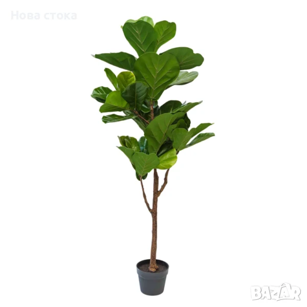 Изкуствено дърво Цигулкова смокиня, снимка 1