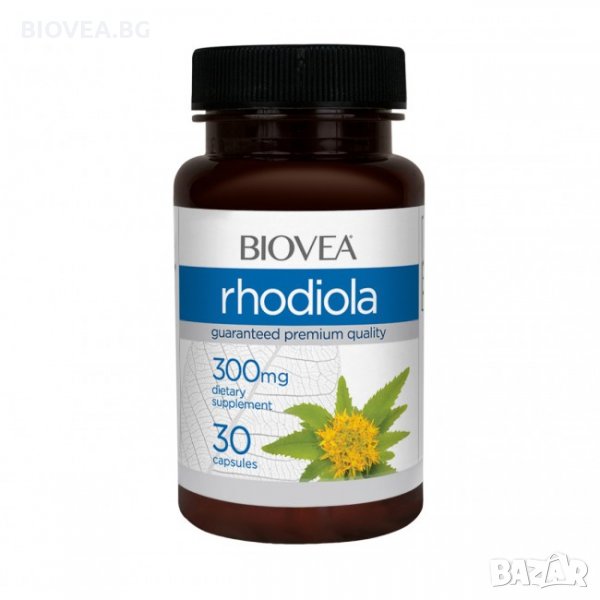 Хранителна добавка Biovea RHODIOLA 300mg, снимка 1