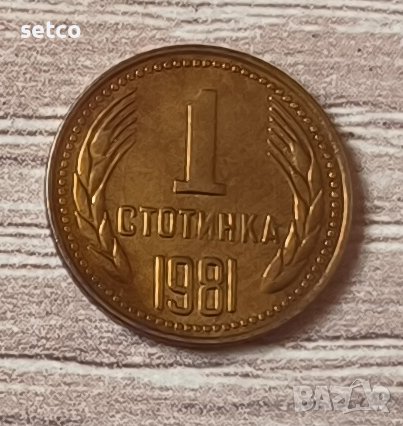 1 стотинка 1981 година  б17, снимка 1