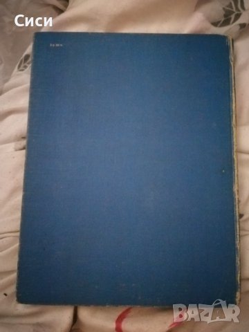 Киты и другие морские млекопитающие, снимка 2 - Художествена литература - 37410310