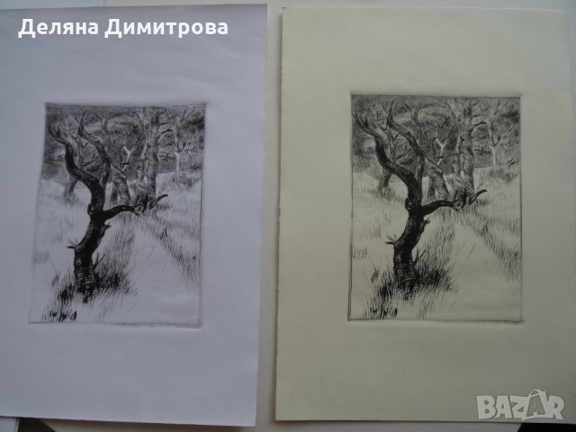 Разпродажба спешно! Авторски Графики Уникати!, 64,99 лв, снимка 13 - Картини - 31812758