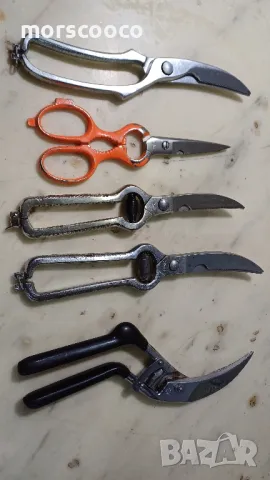 Ножици за пилета и риба 