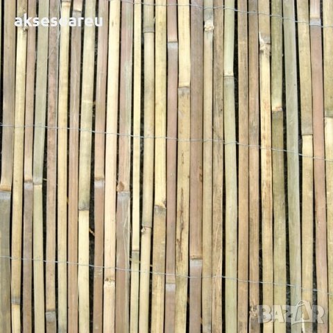 Семена от гигантски бамбук Moso Bambo градински сертифицирани декоративни растения за дома и двора б, снимка 6 - Разсади - 38062500