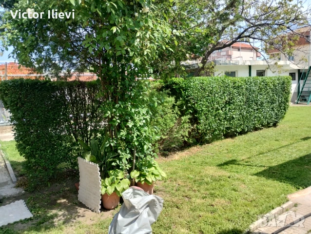 Градински услуги и Услуги с мини Багер и самосвал