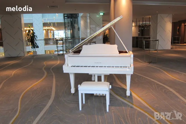 НОВИ рояли под наем за всякакви културни събития, снимка 5 - Пиана - 36256845