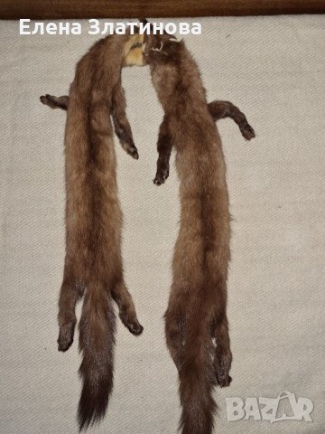 Яка от НОРКА, снимка 2 - Други - 31803701