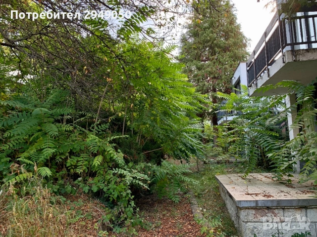 Почистване на дворове и всякакъв вид парцели, снимка 5 - Други услуги - 54068795