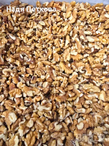 Орехови ядки: Реколта 2025 | Орехи на Едро, снимка 2 - Други - 53335592