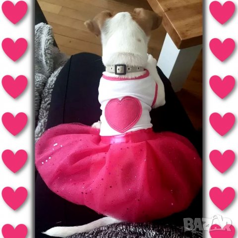 Рокли за кучета и котки. Розова рокля за куче и котка. Дрехи за кучета. Рокля за куче. Кучешки дрехи, снимка 5 - За кучета - 35414908