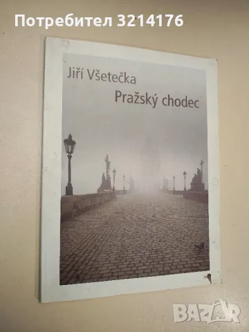 Jiří Všetečka - Pražský chodec