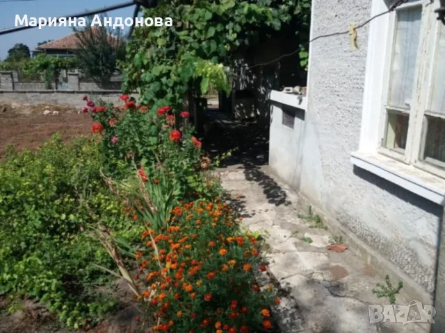 Продава - къща с имот, снимка 5 - Вили - 55752902