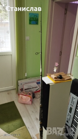 Crazy Fish Arion EVA ASRE742ULS