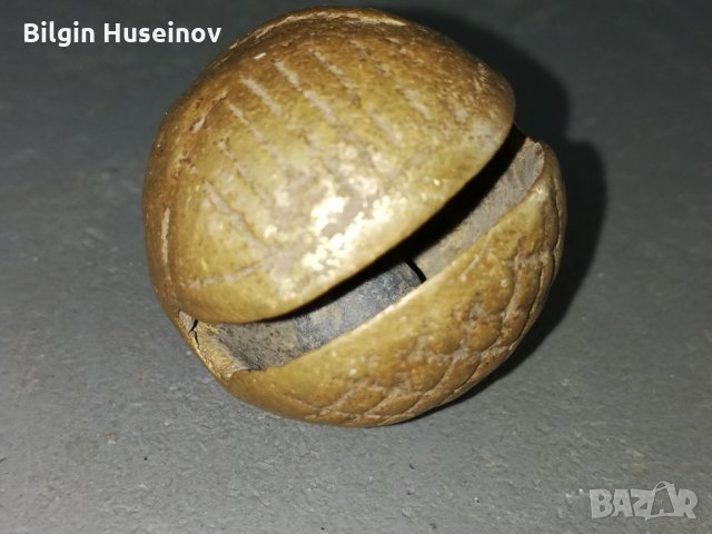 Свънче орехче, снимка 1