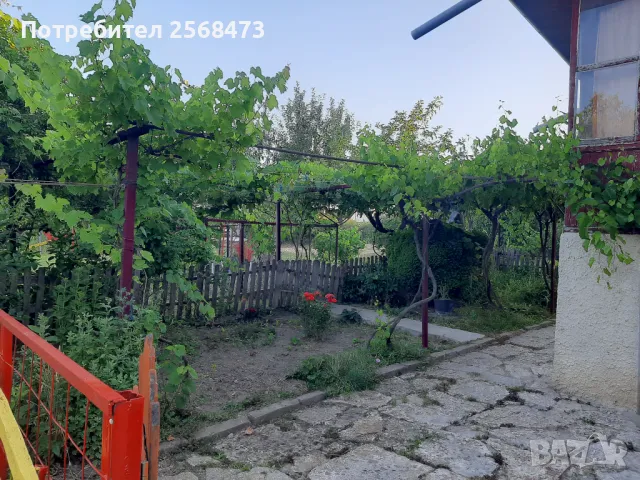 Продавам къща с голям двор на 10 мин. от Добрич, в близост до с.Дончево, снимка 5 - Къщи - 49516329