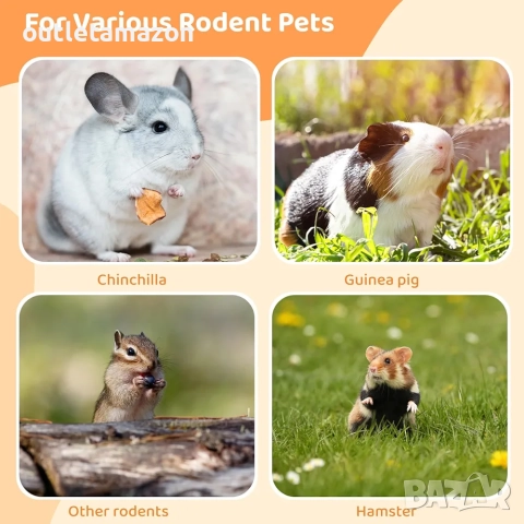 Дървена хранилка за хамстери, снимка 3 - Хамстери - 52429771