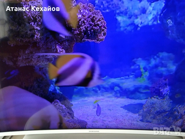 ТВ Самсунг , снимка 3 - Телевизори - 53887868