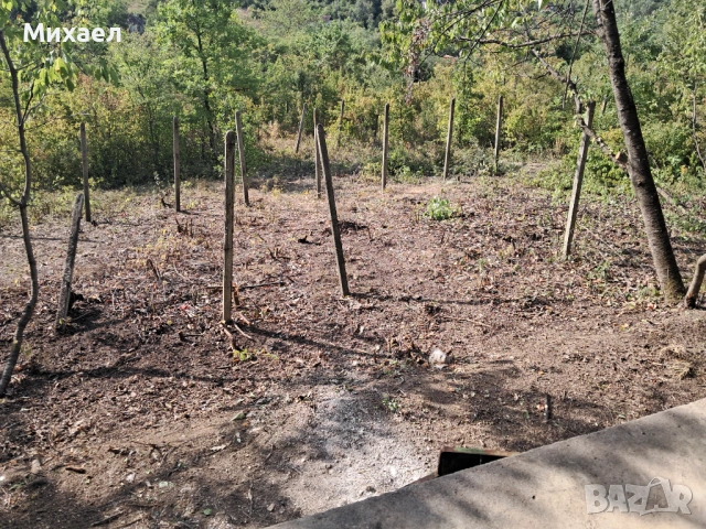 Имот близо до Враца, снимка 6 - Вили - 54058424