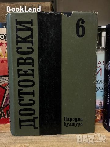 Достоевски| Идиот| том 6