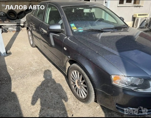 Audi A4 B7 na chasti 2.5 TDI 163hp Ауди А4 Б7 мултитроник, снимка 3 - Автомобили и джипове - 53160187