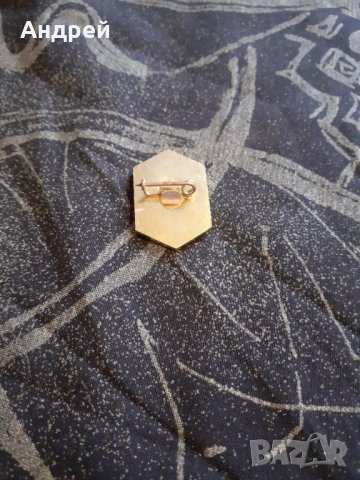 Стара значка 50 години ЗШЗИ Малчика, снимка 2 - Други ценни предмети - 29865482