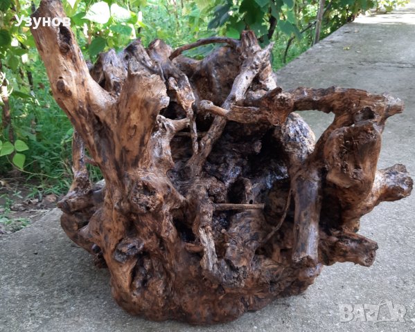 Декорация за градина-корен от дъб, снимка 8 - Декорация за дома - 37780550