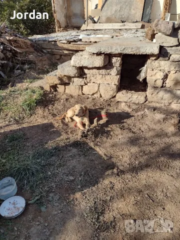 Редене на Естествен камък. , снимка 14 - Други ремонти - 41900926