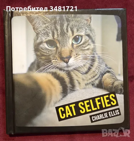 Cat Selfies албум     