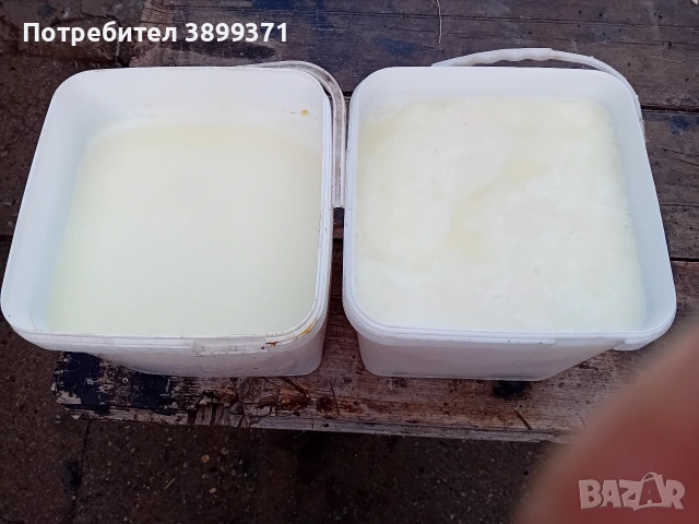 Свинска маз 